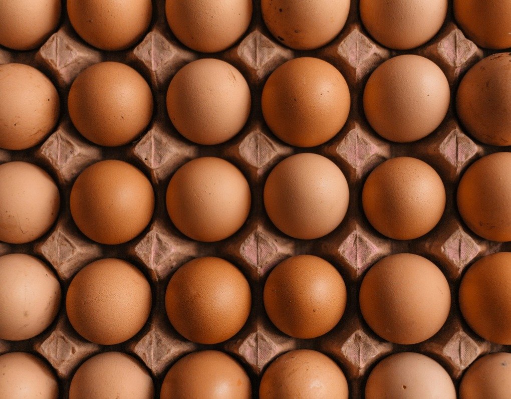 Egg Allergy