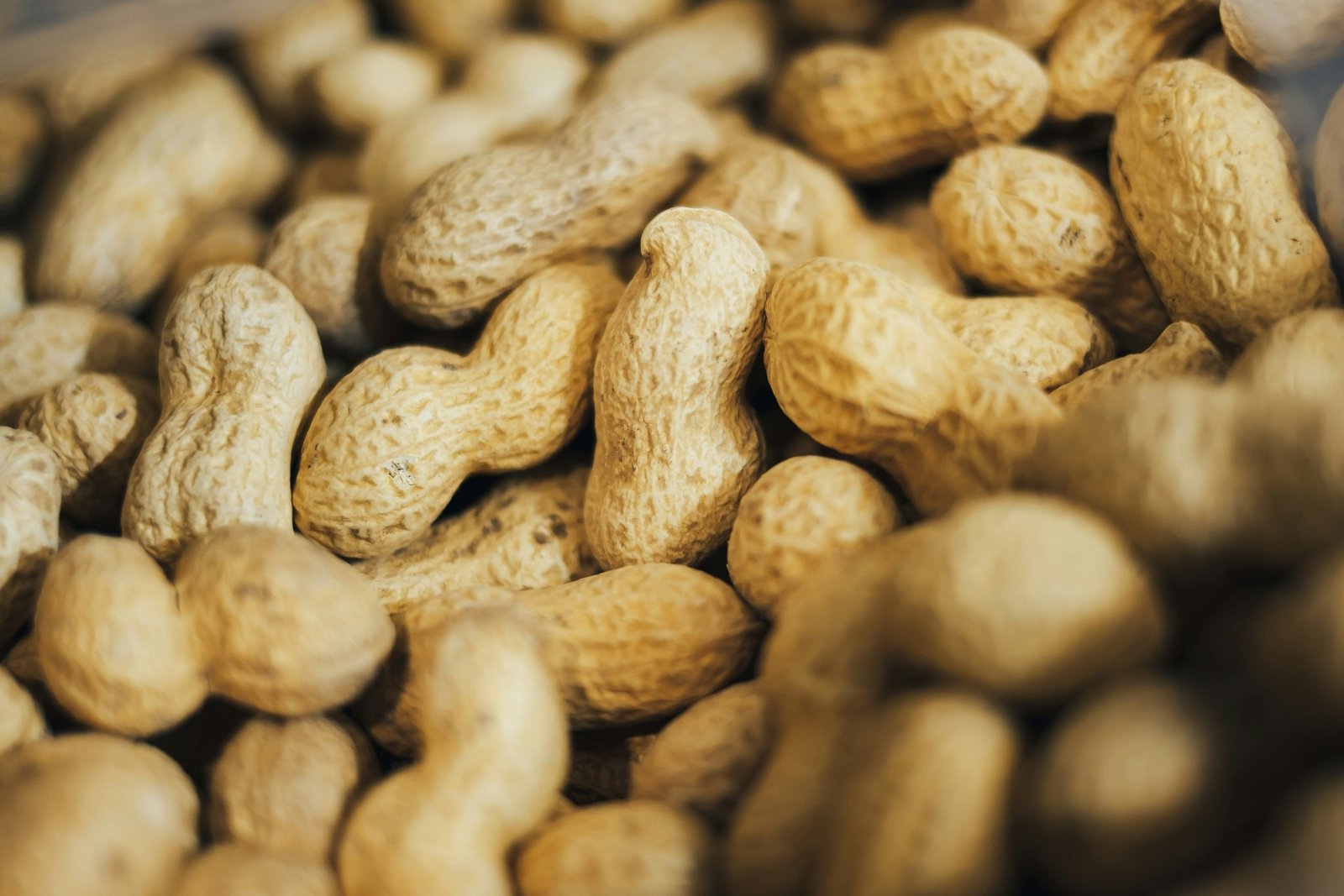 Peanut Allergy