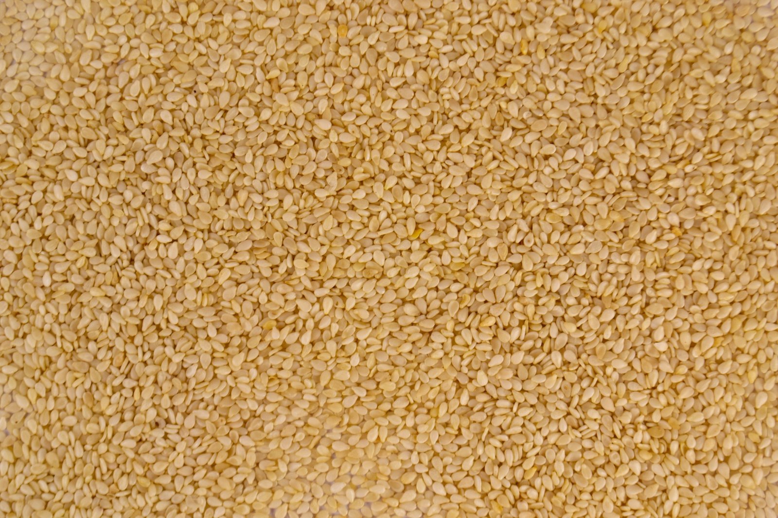 Sesame Allergy